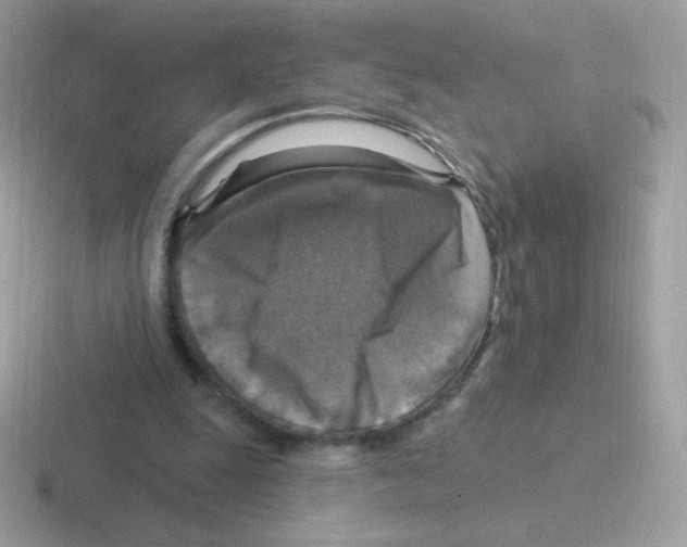 X0000116590247201001071239