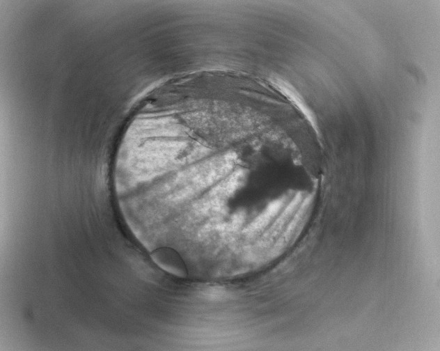 X0000116590249201001071239