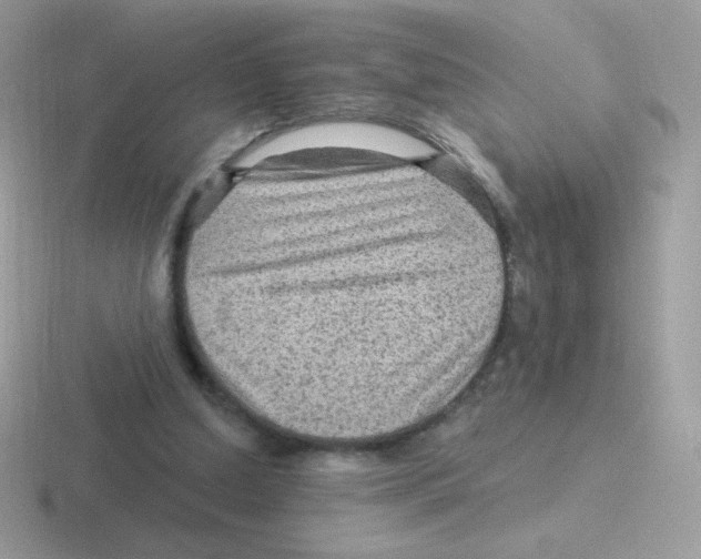 X0000116590250201001071239