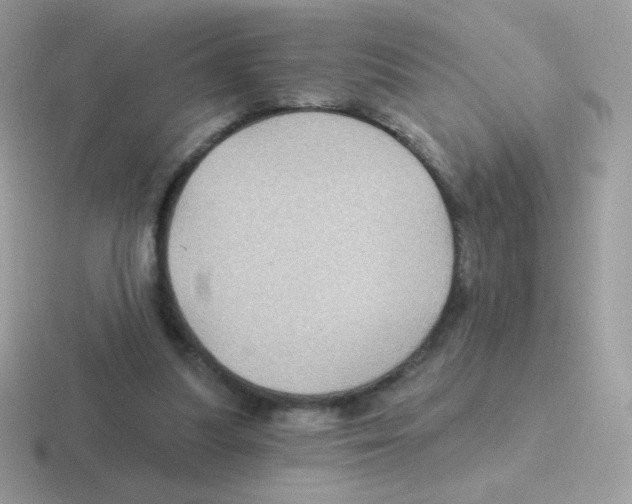 X0000116590251201001071239