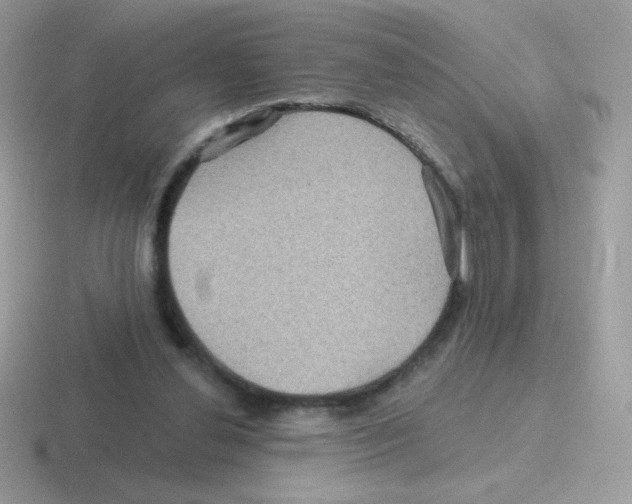 X0000116590252201001071239