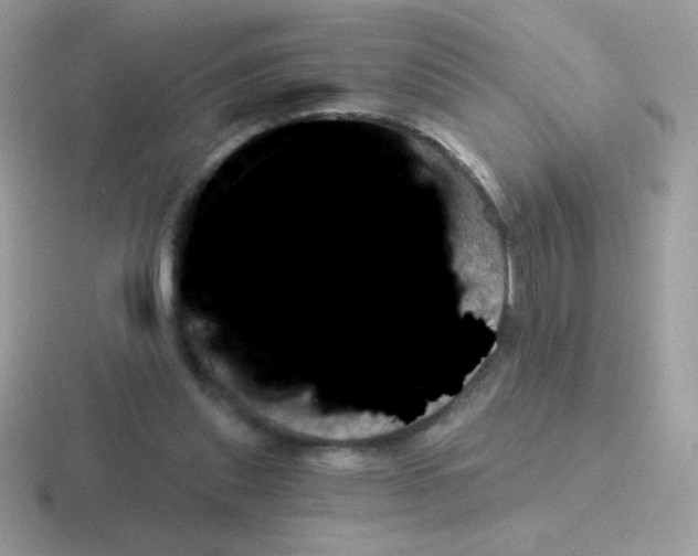 X0000116590253201001071239