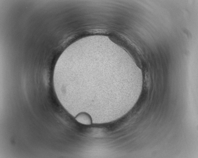 X0000116590255201001071239