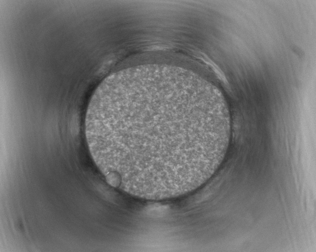 X0000116590257201001071239