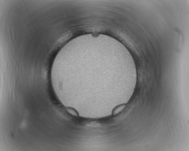 X0000116590258201001071239