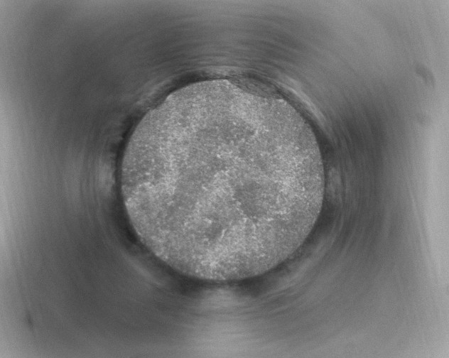 X0000116590259201001071239