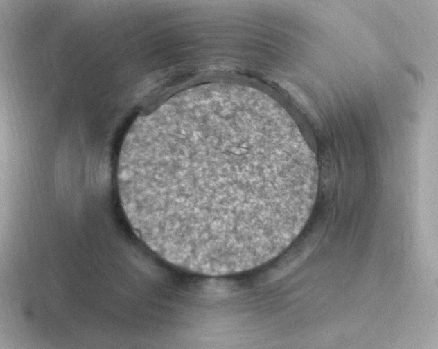 X0000116590261201001071239