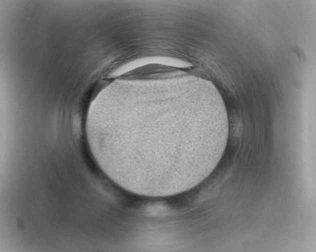 X0000116590262201001071239