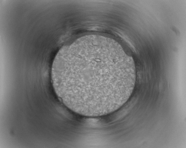 X0000116590265201001071239