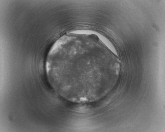 X0000116590267201001071239