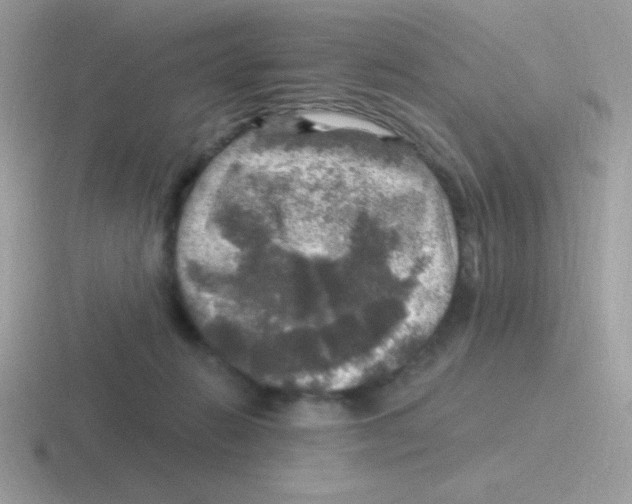 X0000116590270201001071239