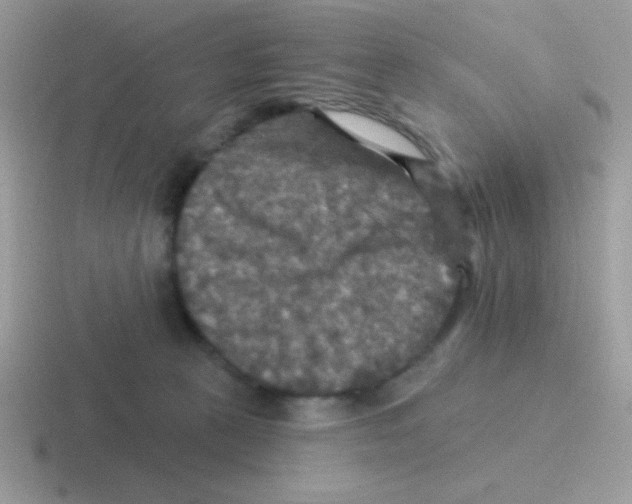 X0000116590273201001071240