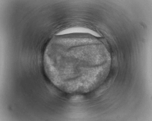 X0000116590274201001071240