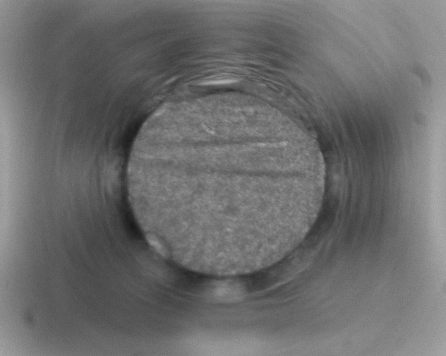 X0000116590275201001071240