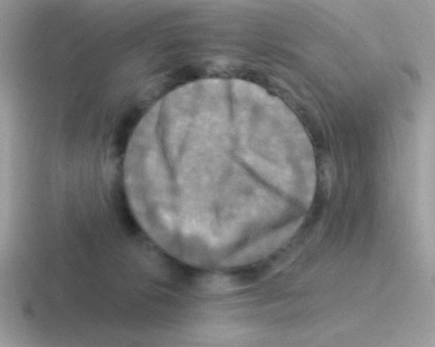 X0000116590276201001071240