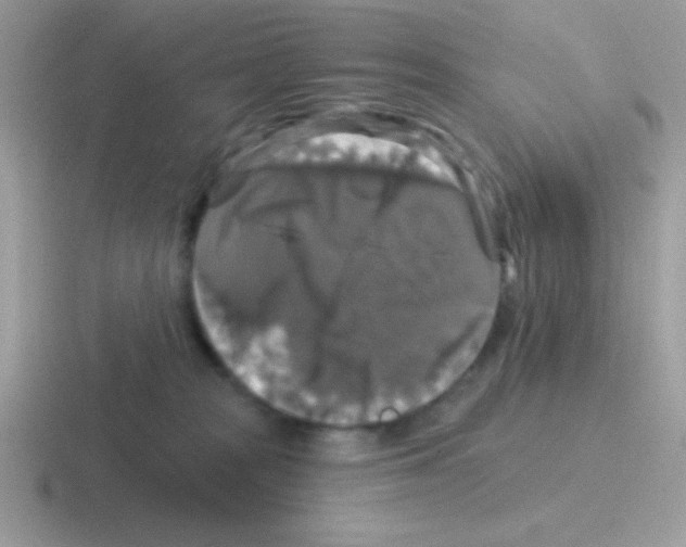 X0000116590277201001071240