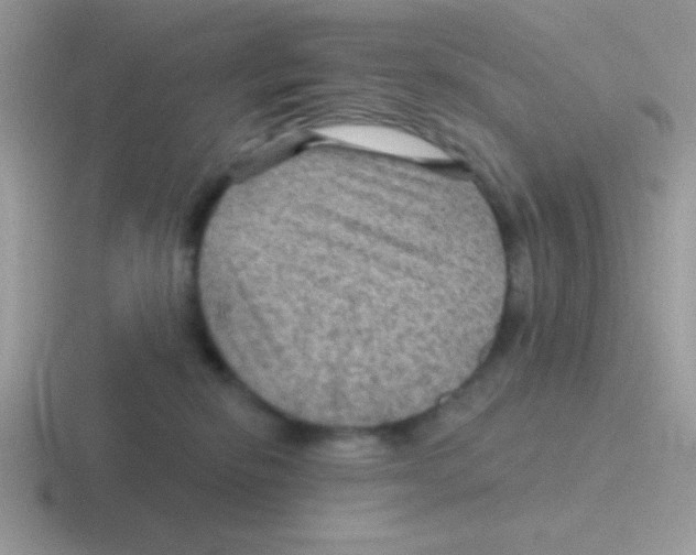 X0000116590278201001071240