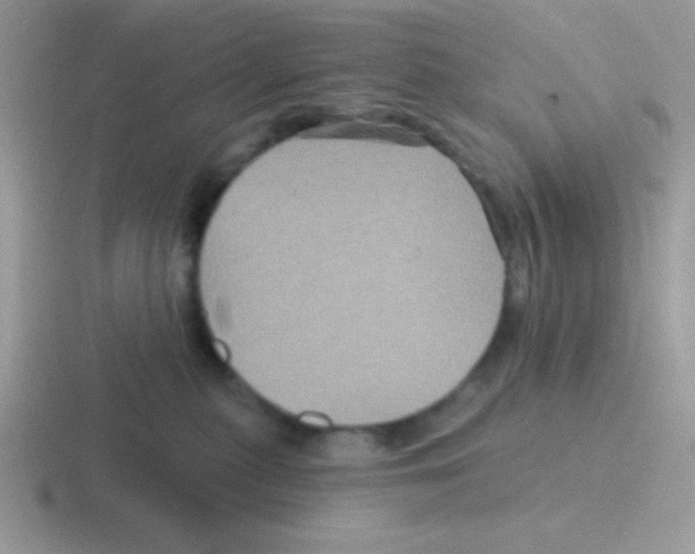 X0000116590279201001071240