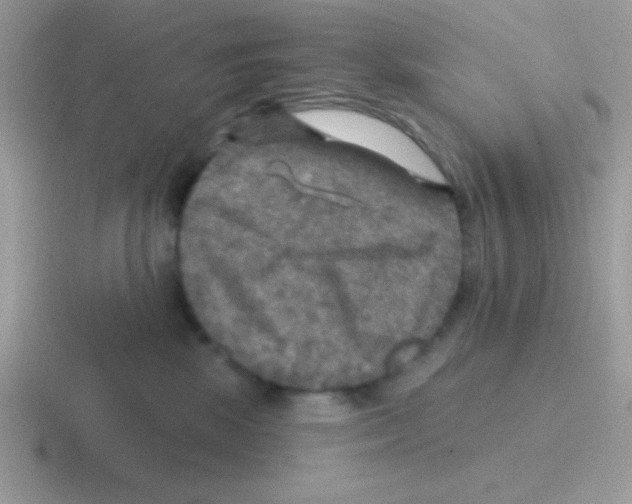 X0000116590281201001071240