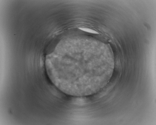 X0000116590282201001071240