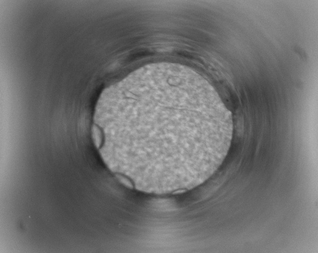 X0000116590283201001071240