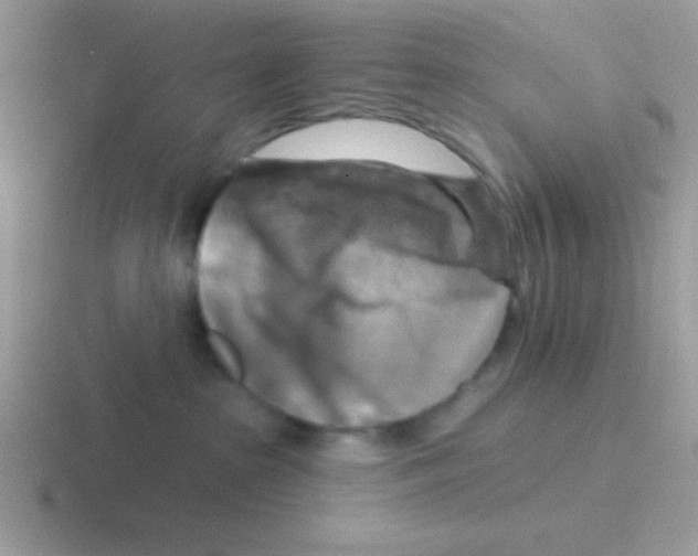 X0000116590285201001071240