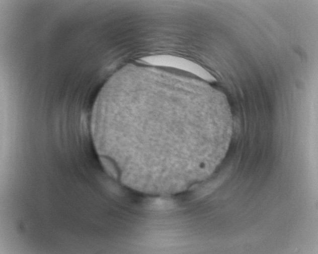 X0000116590286201001071240