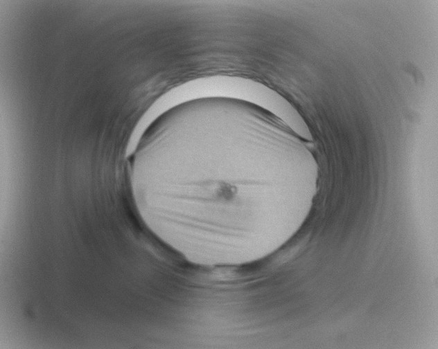 X0000116590288201001071240