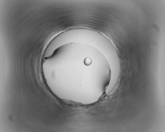 X0000116590289201001071239