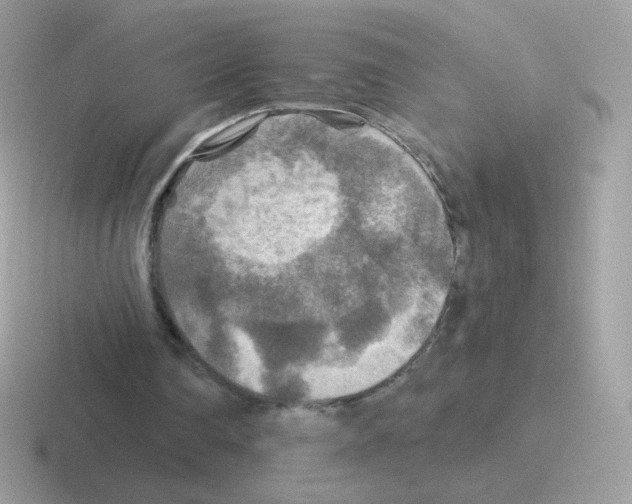 X0000116590290201001071239