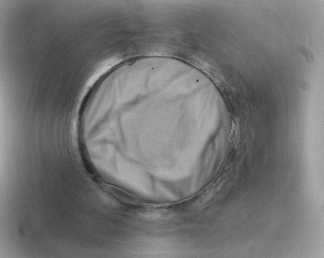 X0000116590292201001071239