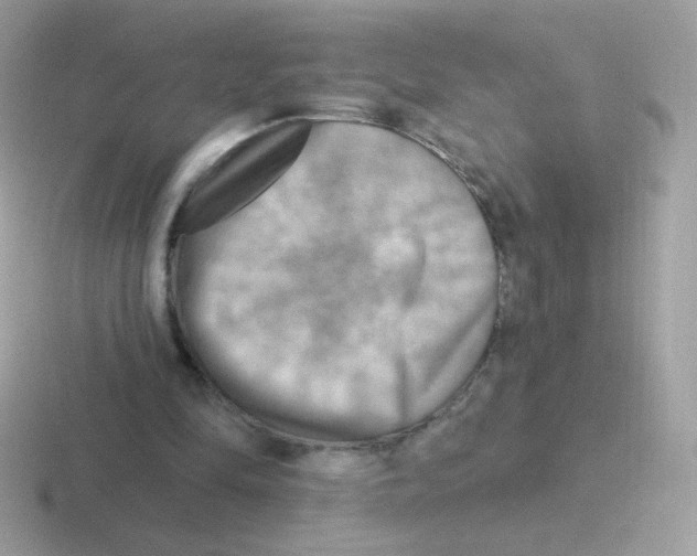 X0000116590294201001071239