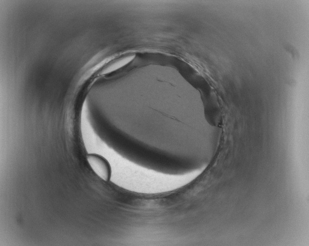 X0000116590295201001071239