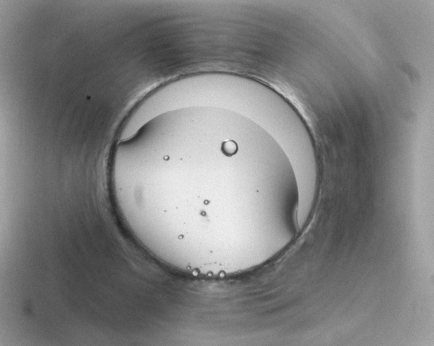 X0000116590297201001071239