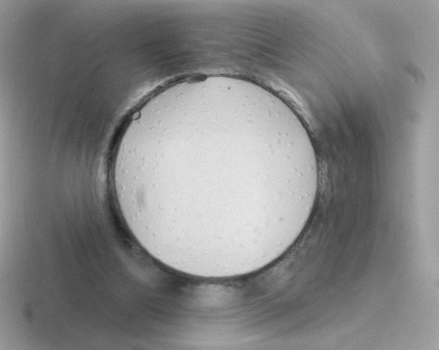 X0000116590298201001071239