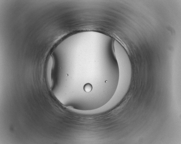 X0000116590301201001071239