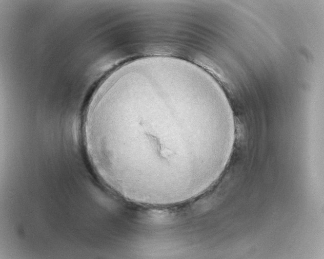 X0000116590302201001071239