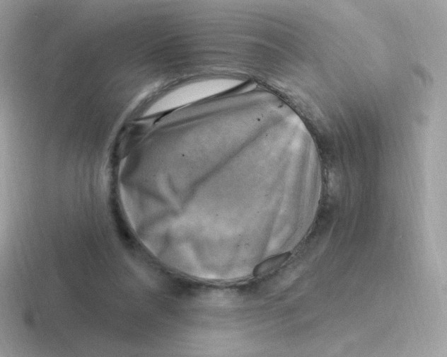 X0000116590304201001071239