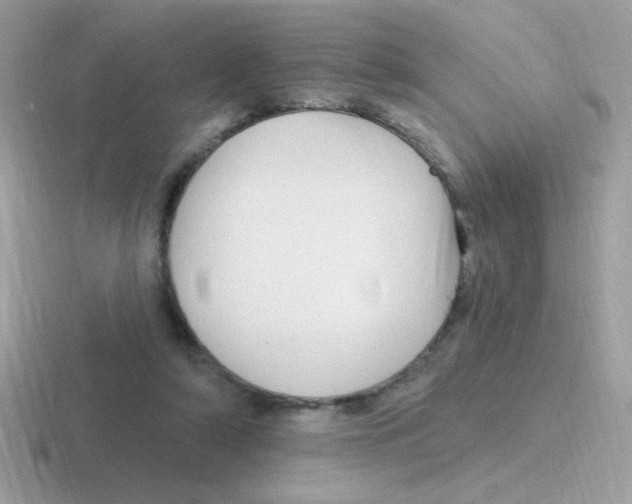 X0000116590306201001071239