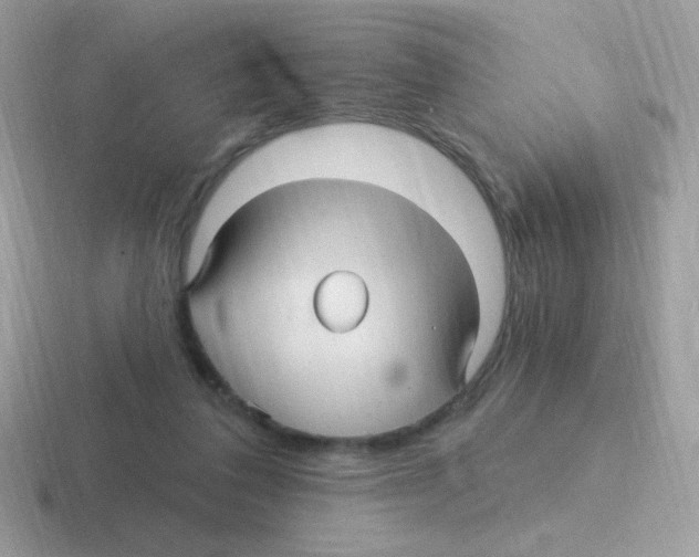 X0000116590308201001071239