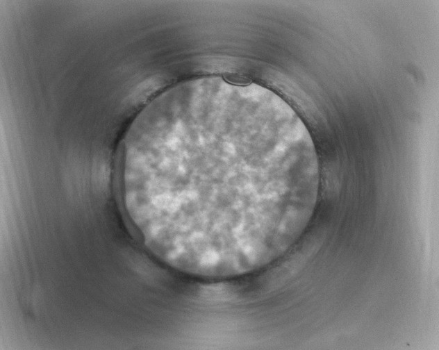 X0000116590309201001071239