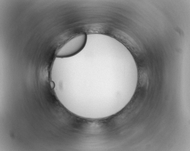 X0000116590310201001071239