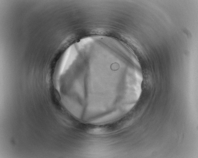 X0000116590312201001071239