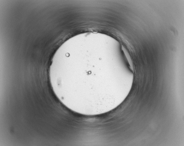 X0000116590313201001071239