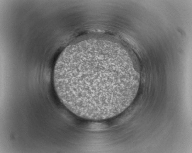 X0000116590315201001071239