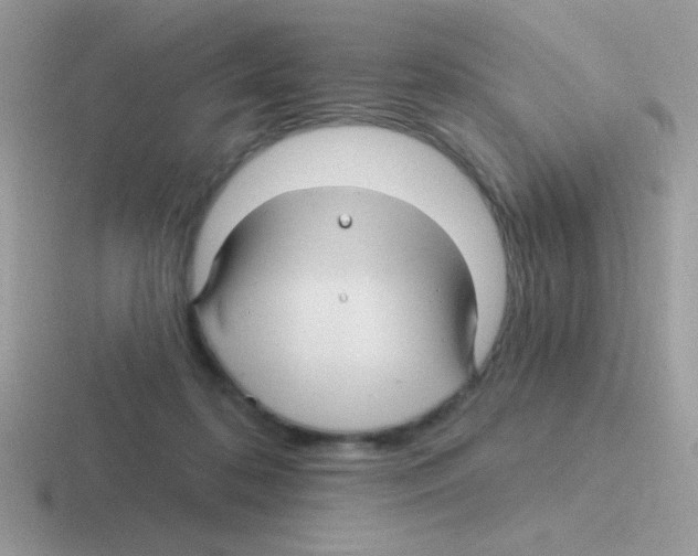 X0000116590316201001071239