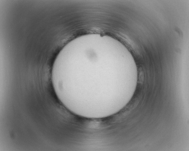 X0000116590318201001071239