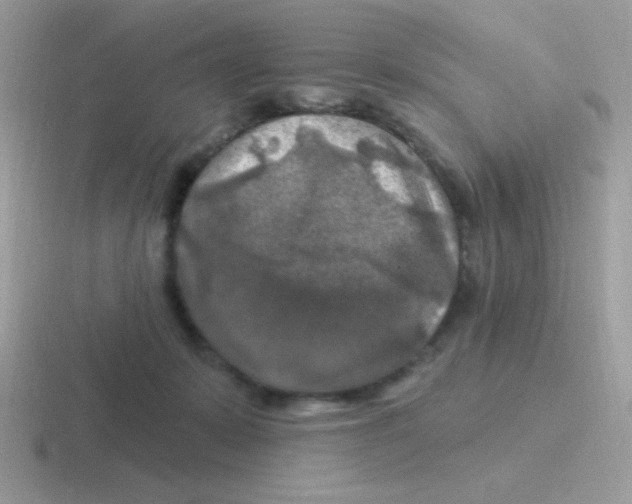 X0000116590319201001071239