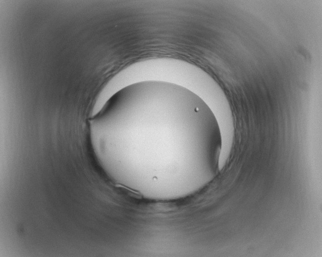 X0000116590320201001071239