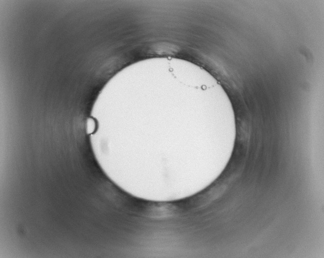 X0000116590321201001071239